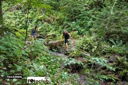 2022-08-20 - ART_5390